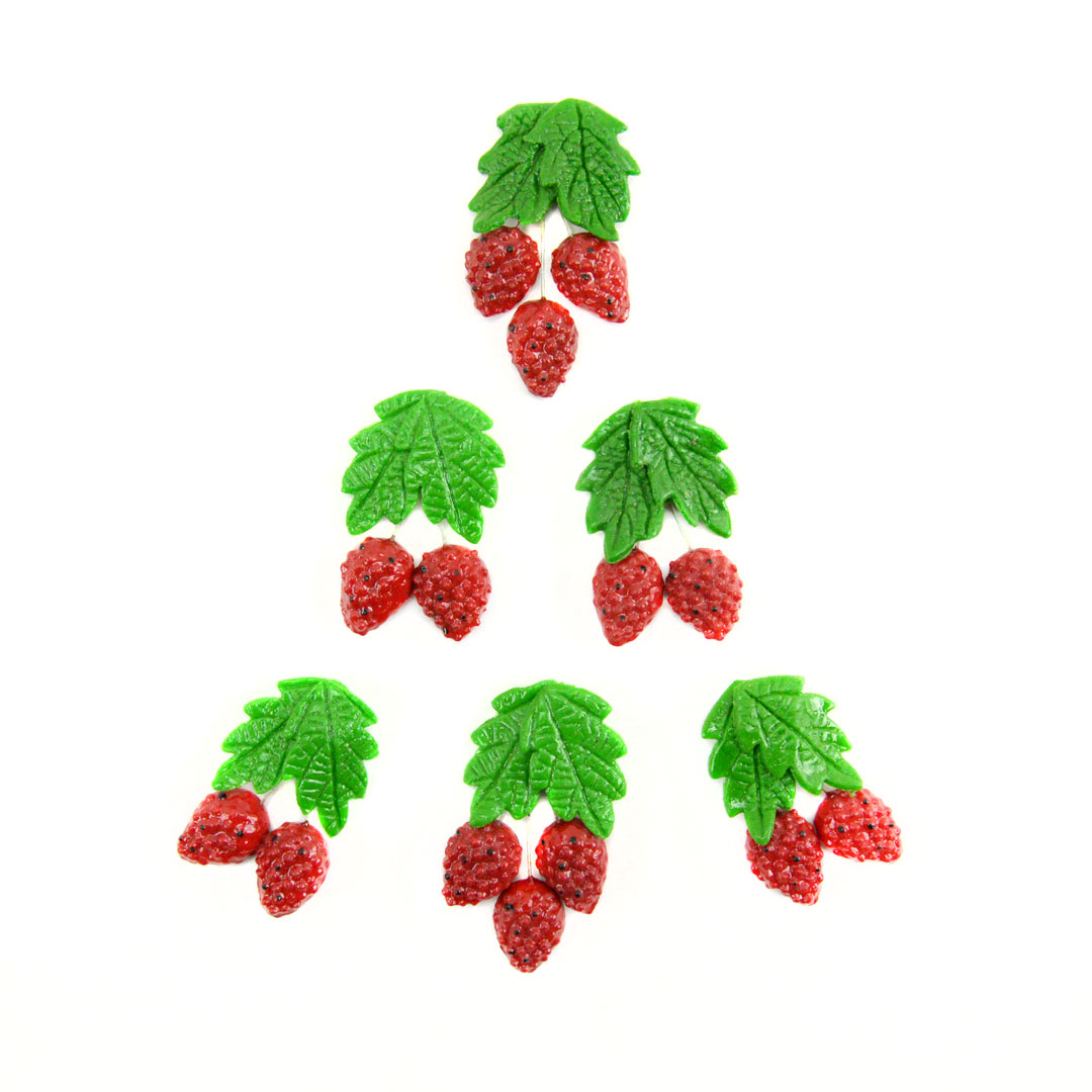 Raspberry Magnets (Set of 49)