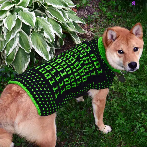 Pet Accessories