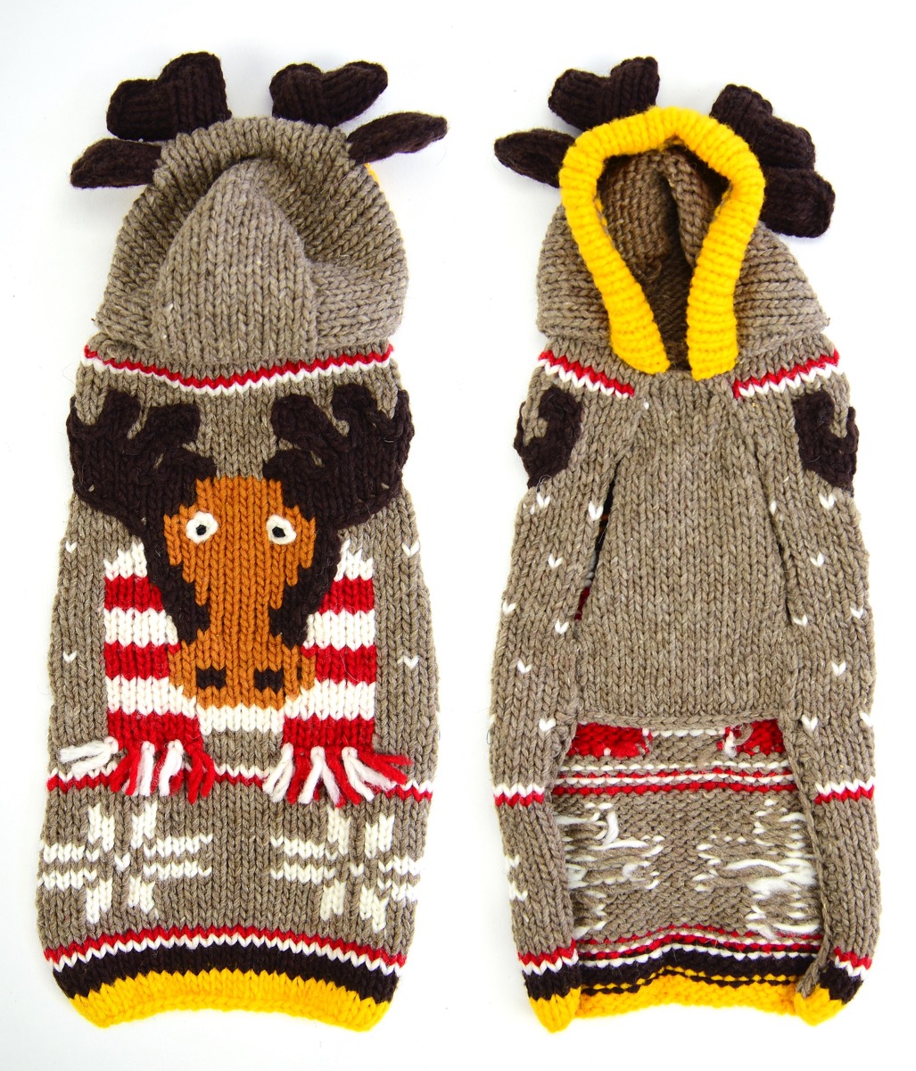 Moose Dog Sweater