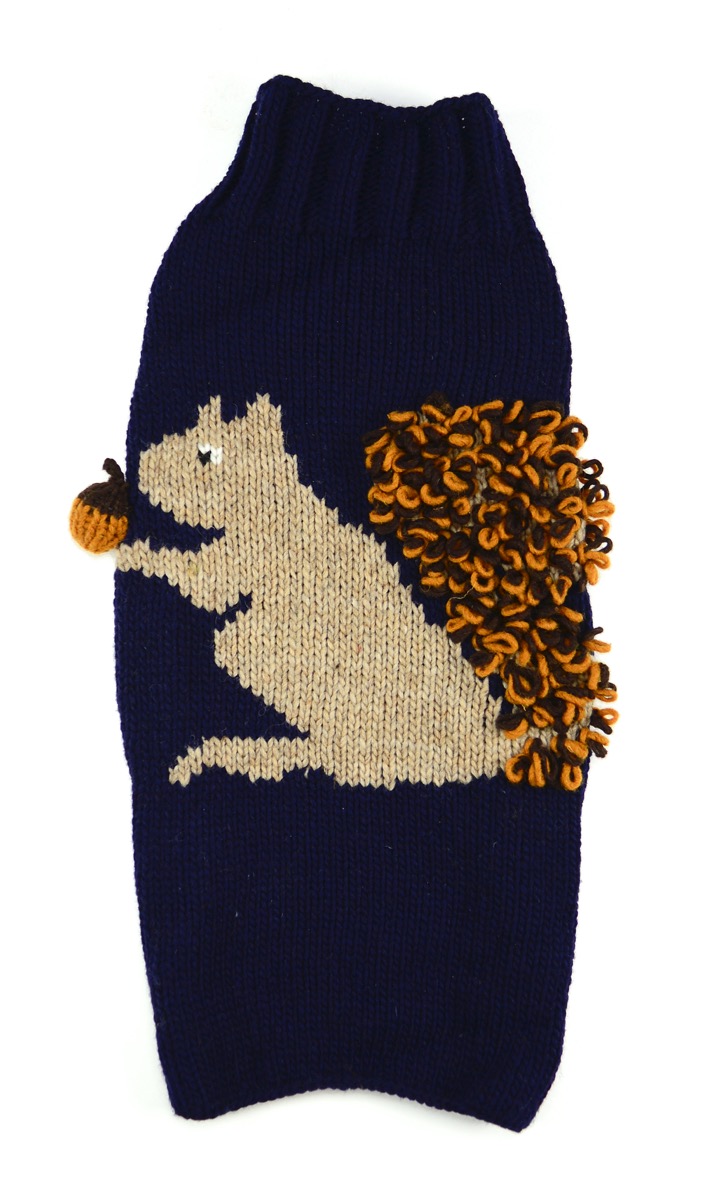 Squirrel Dog Sweater