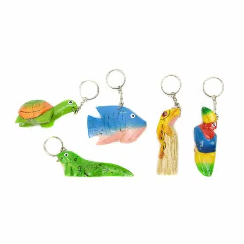 showing the different types of balsa keychains you can get. you can get a, turtle, fish, lizard, tucan, and iguana