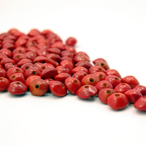 A picture of the chocho platillo beads, coming in bags of 200.