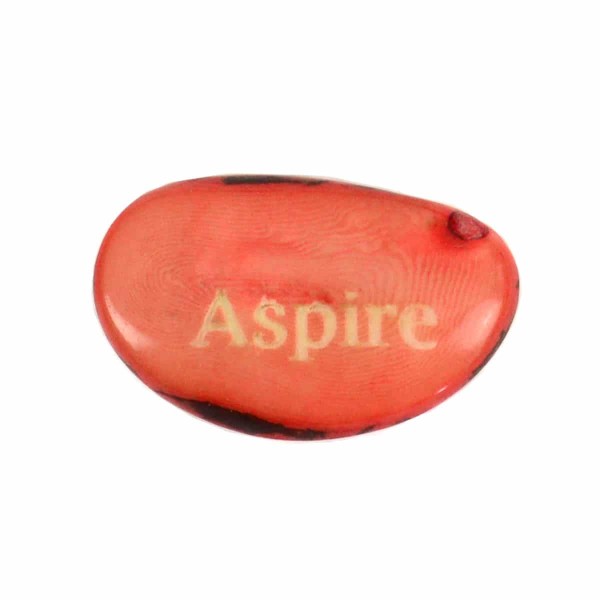 A tagua seed that says aspire on it