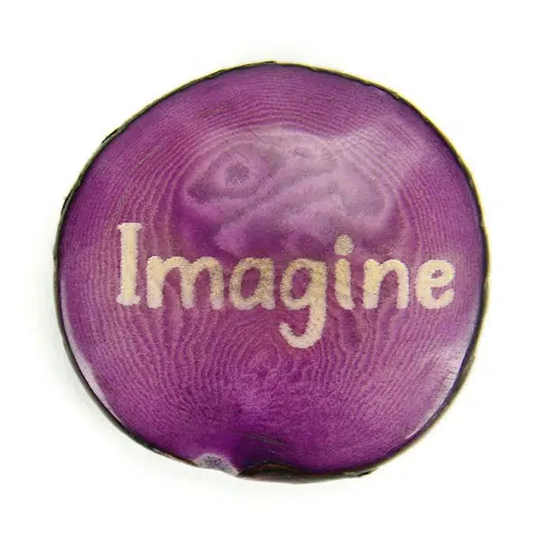 A tagua seed that says imagine on it
