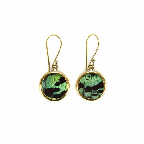 A picture of the green butterfly earrings.