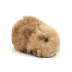 Brown Small Alpaca Guinea Pig