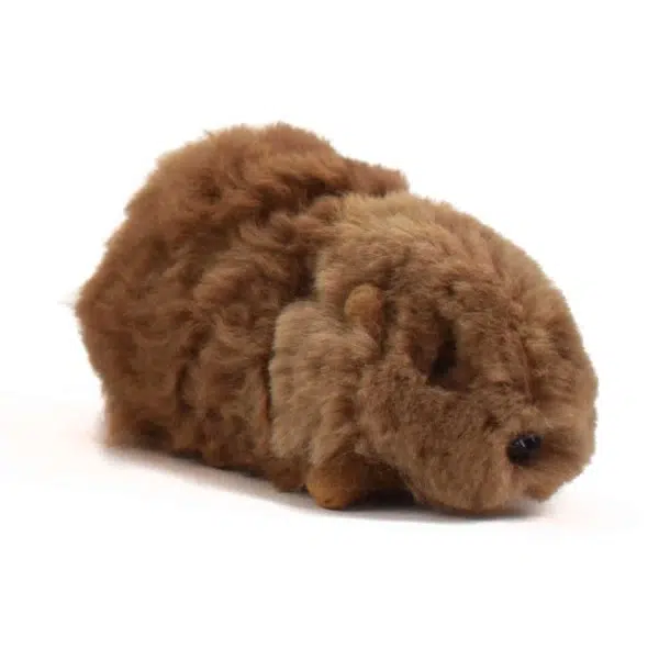 Dark Brown Alpaca Guinea Pig