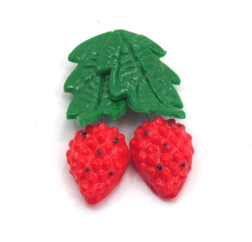 Raspberry Magnets (Set of 49)