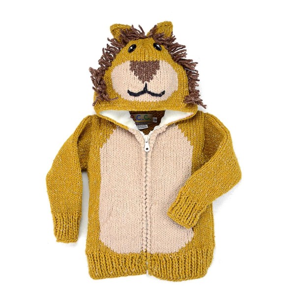 A kids animal sweater this is the lion