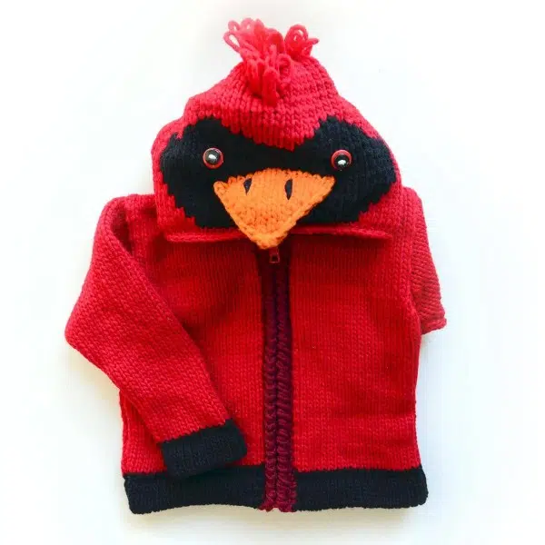 A kids animal sweater this is the cardinal