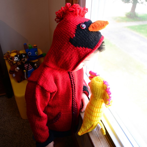 kid wearing the cardinal animal sweater