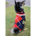 A dog wearing the web design dog sweater