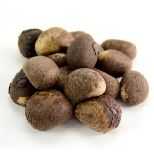 A pound of tagua nuts, 11-14 nuts sold per pound