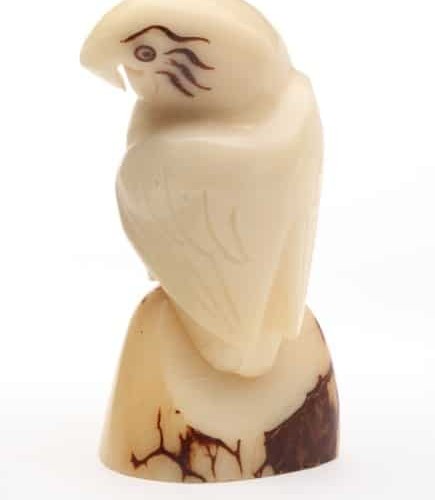 A parrot peering over its shoulder, hand carved from a tagua seed.