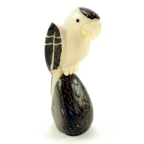 A parrot sitting on a tagua seed, hand carved out of a tagua nut.