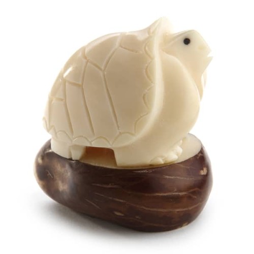 A tortoise sticking its head out from its shell, hand carved and made out of tagua seeds