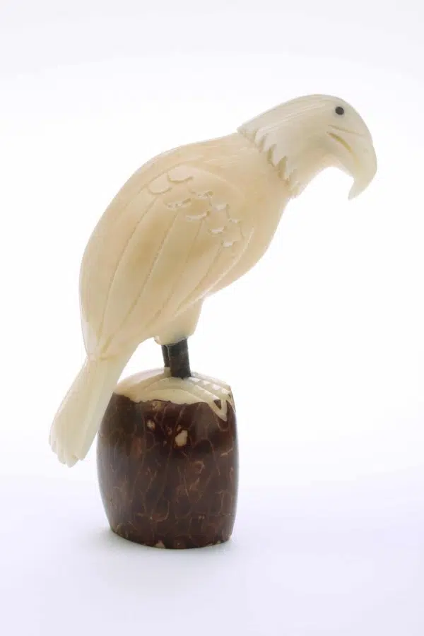 An eagle sitting on a tagua seed made from tagua seed