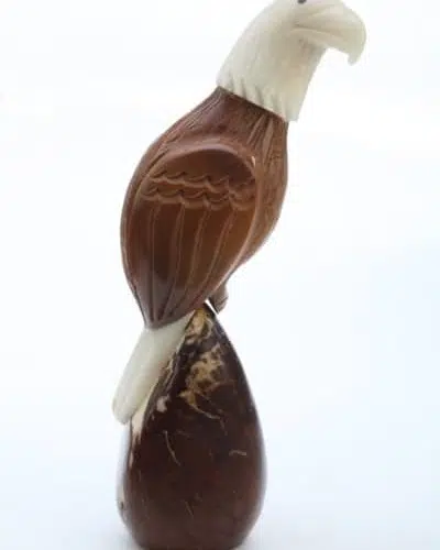 An eagle sitting on a tagua seed made from tagua seed