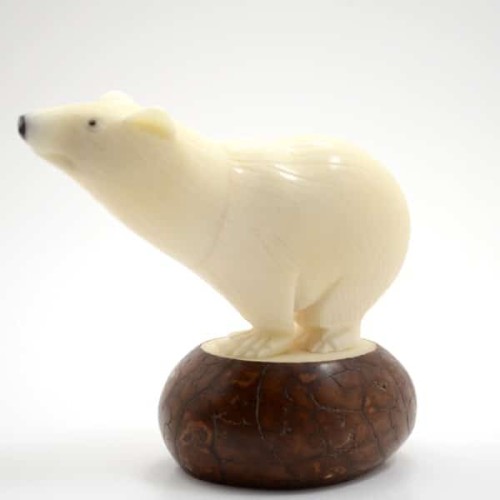 A polar bear that has been carved with extreme detail in mind. these have been carved out of tagua nuts.