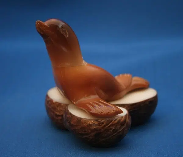 A sea lion laying on a rock, hand carved from tagua seeds