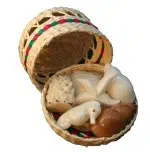 A bunch of different seashells coming in a straw basket, all of the seashells have been hand carved from tagua seeds