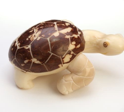 A tortoise that is walking around, hand carved and made from tagua seeds