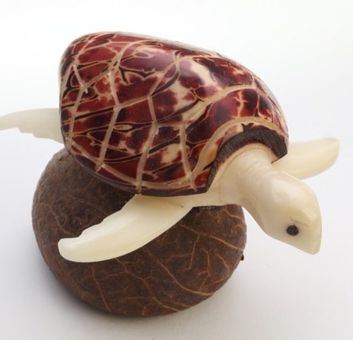 A sea turtle sitting on top of a tagua seed, hand carved and made from tagua seeds