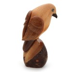 A close up of the flacon sitting on a rock, looking at something, only comes in one color and that's brown