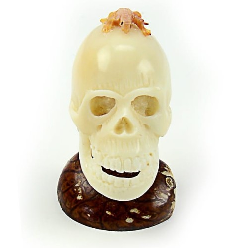 A skull with a lizard on top of it, this has been hand carved and made out of tagua.