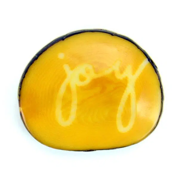 A tagua seed that says joy on it