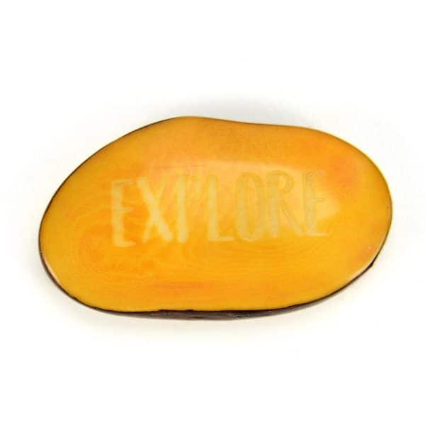A tagua seed that says explore on it