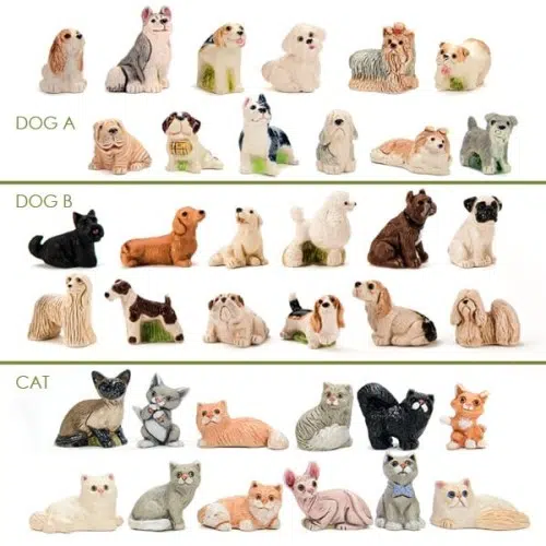 A picture of all the different pets