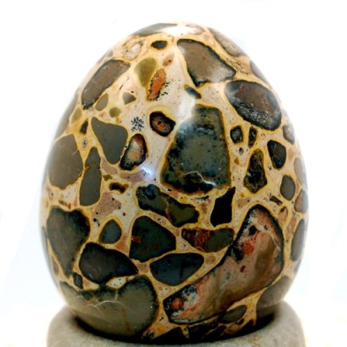 Leopardite Egg