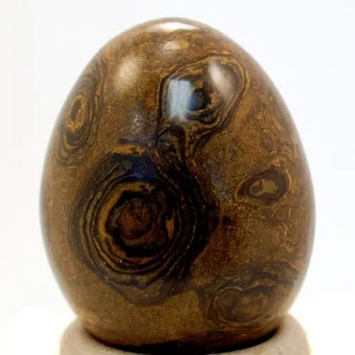 A highly polished stromatolite carved egg