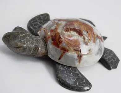 A close up of the the marble turtle showing the detail on it