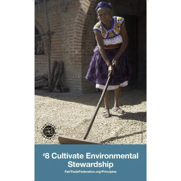 A poster set that tells you the rules to being a fair trade company this is number eight, cultivate environmental stewardship