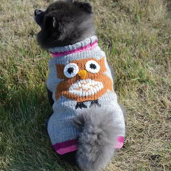 A dog wearing A grey dog sweater with an owl on the back of it