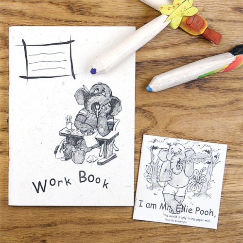Work Book and Storybook Combo