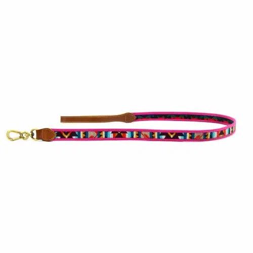 A shot of the leather fabric leash, showing its design and colors