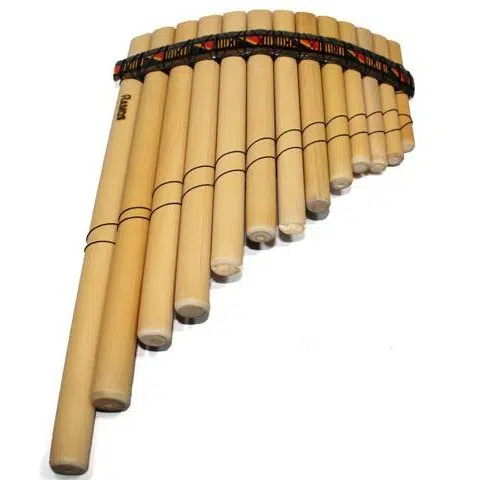 A pan flute made from bamboo, that is curved