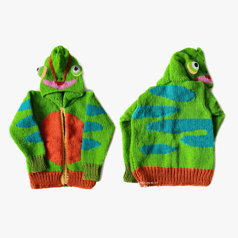 A kids animal sweater this is the chameleon
