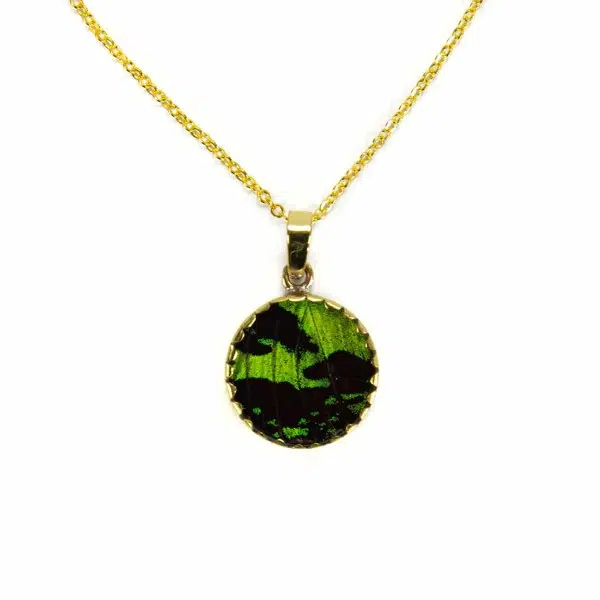 A picture of the green and black butterfly necklace.