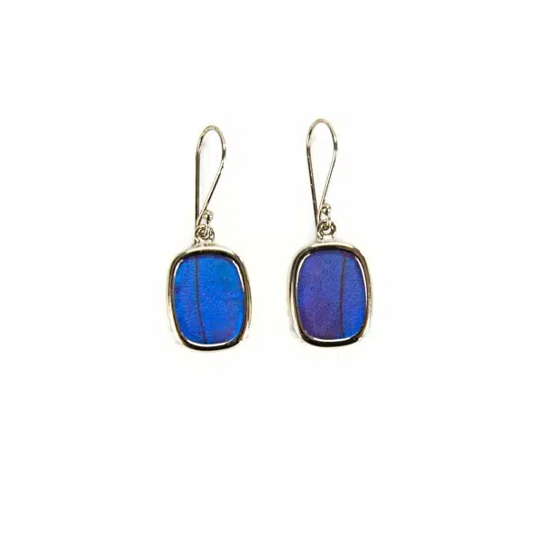A picture of the blue butterfly earrings.
