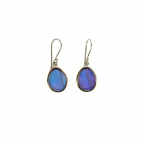 A picture of two blue butterfly earrings.