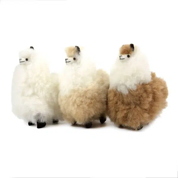 assorted Alpaca llamas in natural colors