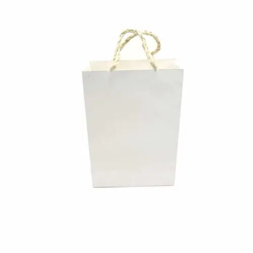 Medium White paper Gift Bag with handles