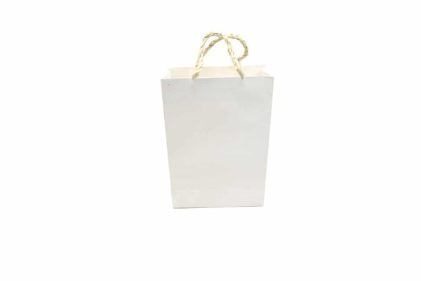 Medium White paper Gift Bag with handles