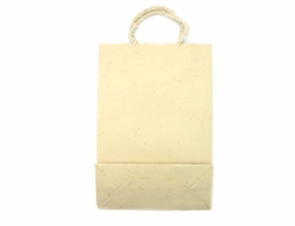 Medium Tan paper Gift Bag with handles