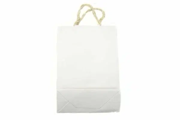 Medium White paper Gift Bag