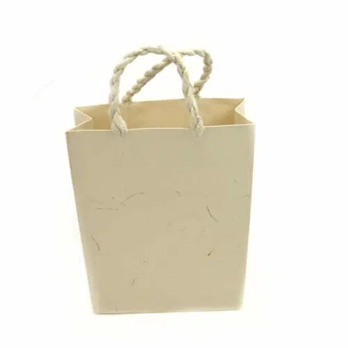 Small Tan paper Gift Bag with handles